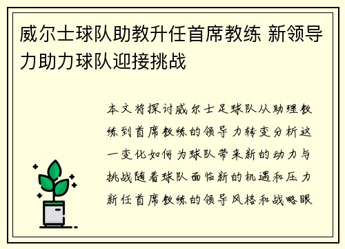 威尔士球队助教升任首席教练 新领导力助力球队迎接挑战