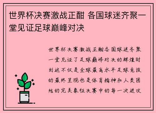 世界杯决赛激战正酣 各国球迷齐聚一堂见证足球巅峰对决