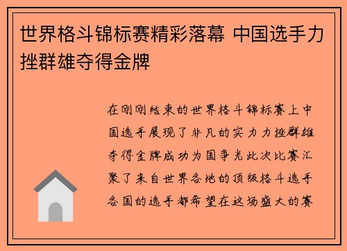 世界格斗锦标赛精彩落幕 中国选手力挫群雄夺得金牌