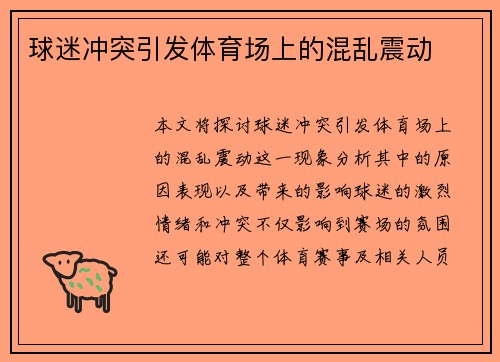 球迷冲突引发体育场上的混乱震动
