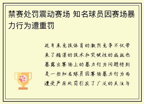 禁赛处罚震动赛场 知名球员因赛场暴力行为遭重罚