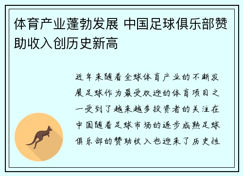 体育产业蓬勃发展 中国足球俱乐部赞助收入创历史新高