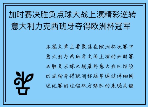 加时赛决胜负点球大战上演精彩逆转 意大利力克西班牙夺得欧洲杯冠军